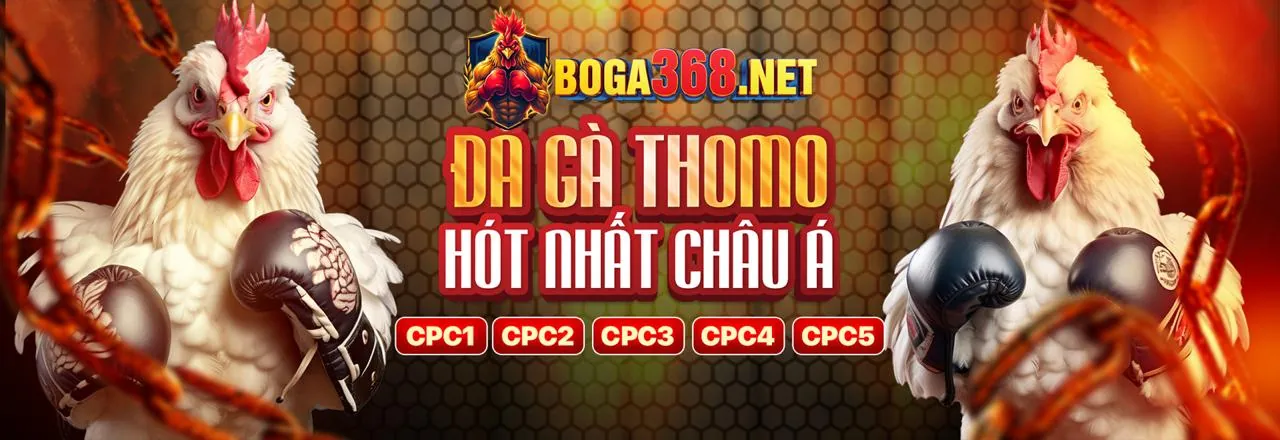 Sân vận động đầy ắp khán giả với trận đấu bóng đá đang diễn ra, biểu tượng cho cá cược thể thao fabet88